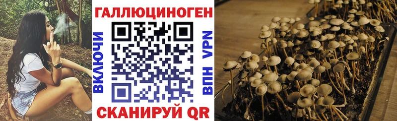 сколько стоит  Сыктывкар  Галлюциногенные грибы прущие грибы 