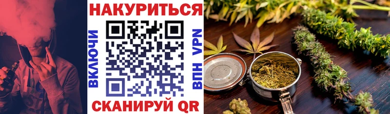 Бошки Шишки планчик  Сыктывкар 